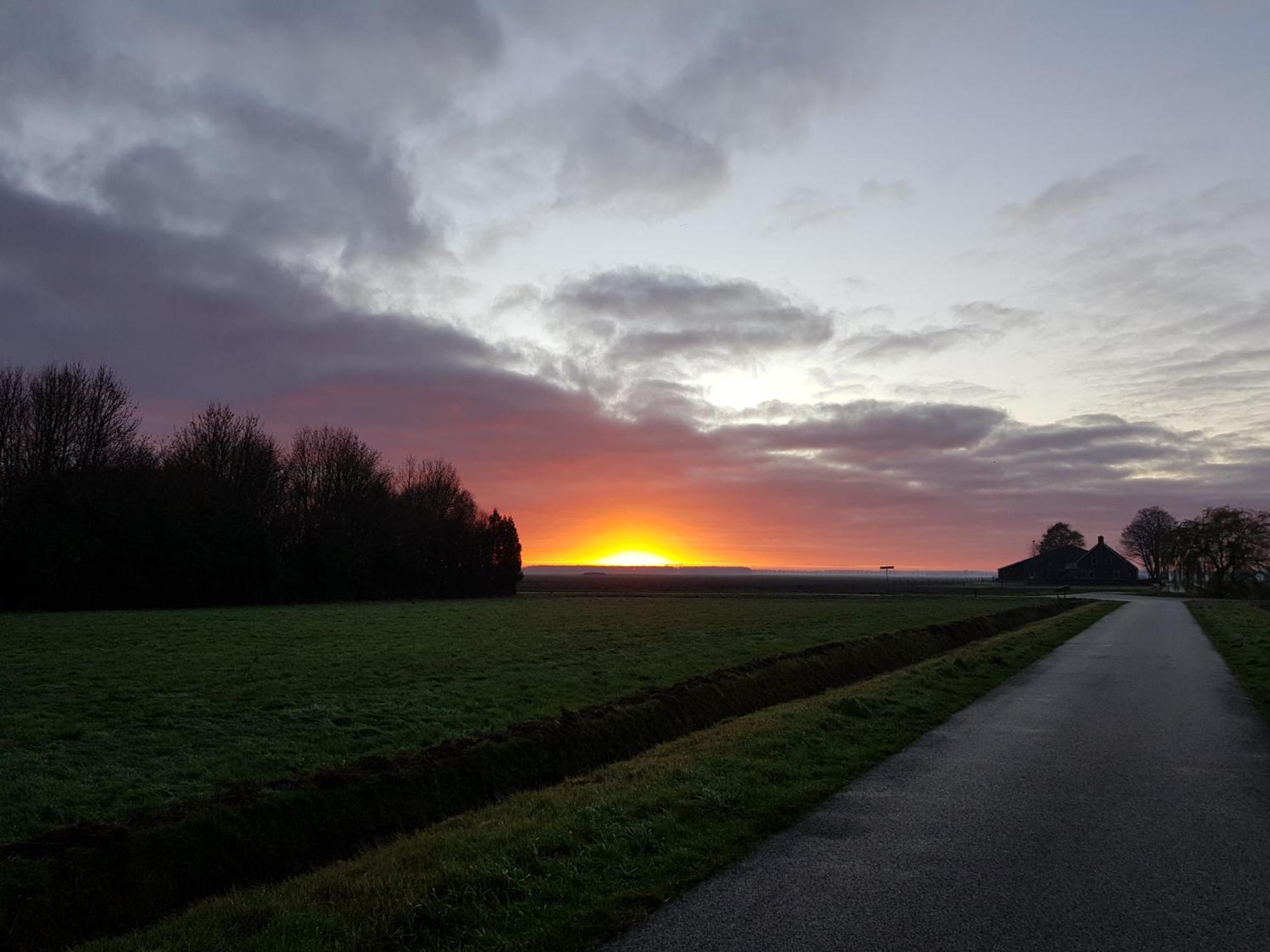 Onder de Beukenboom view 4