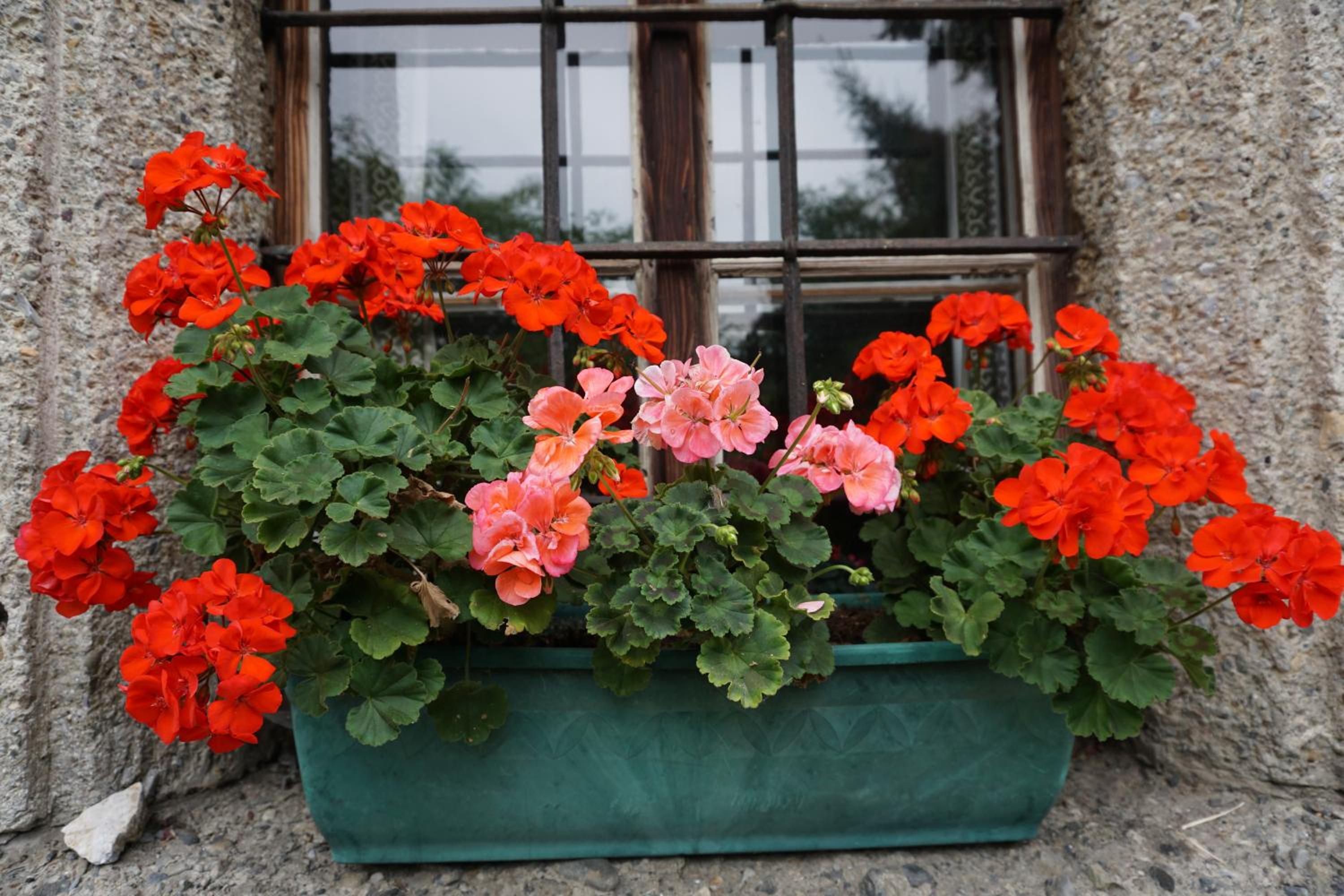 Bio-Bauernhof Rettenbachgut