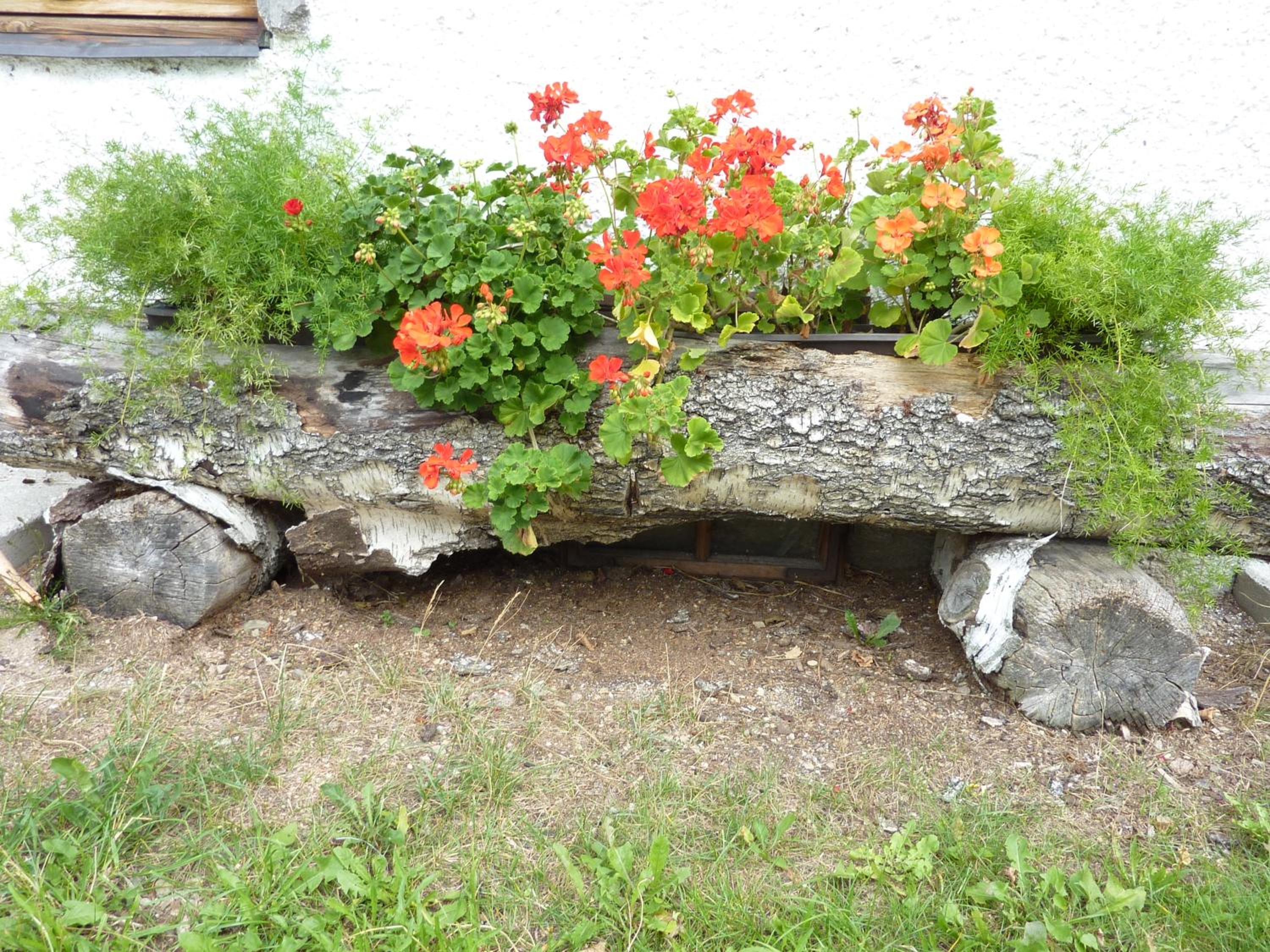 Bio-Bauernhof Rettenbachgut