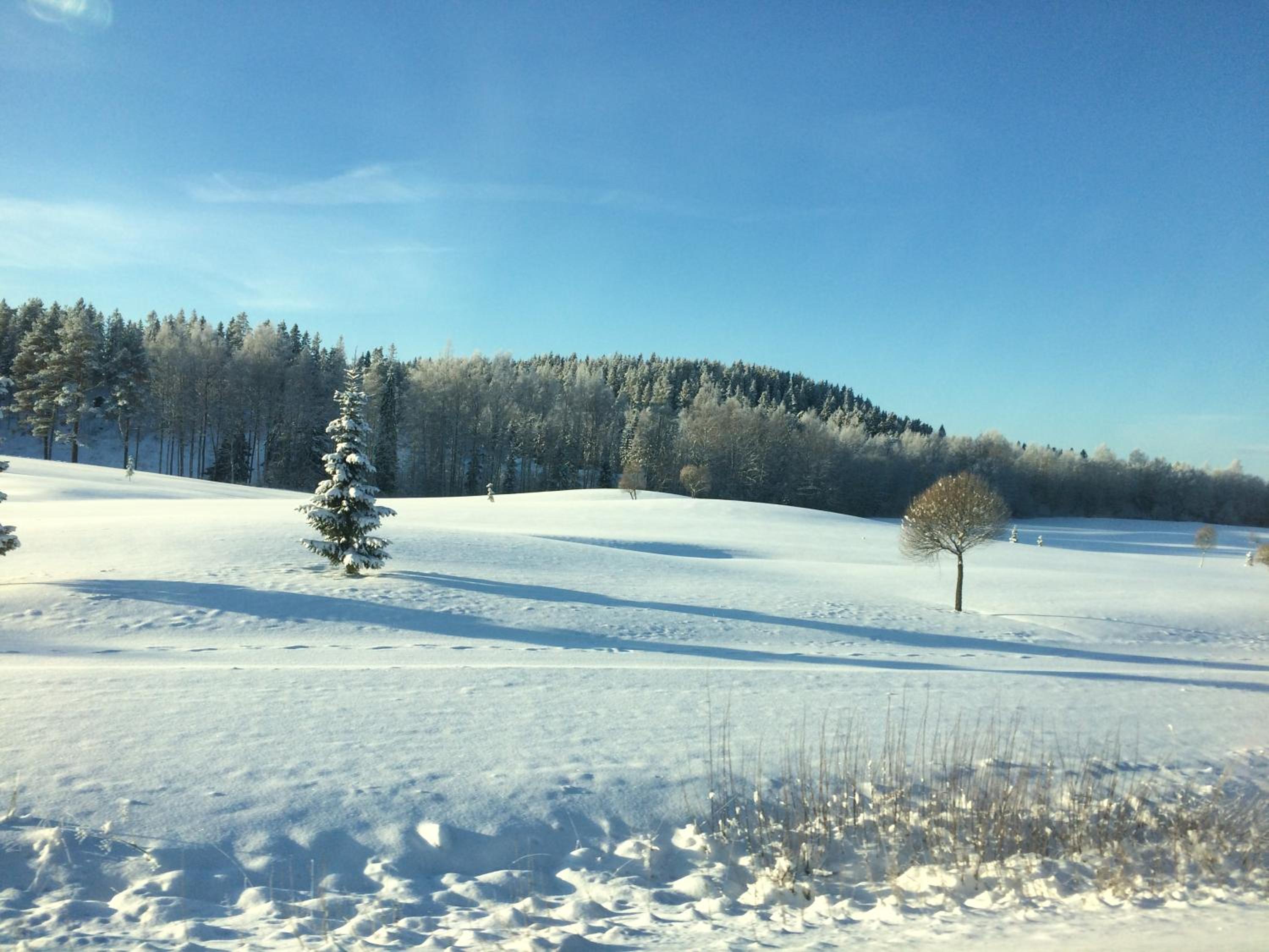 Photo 14