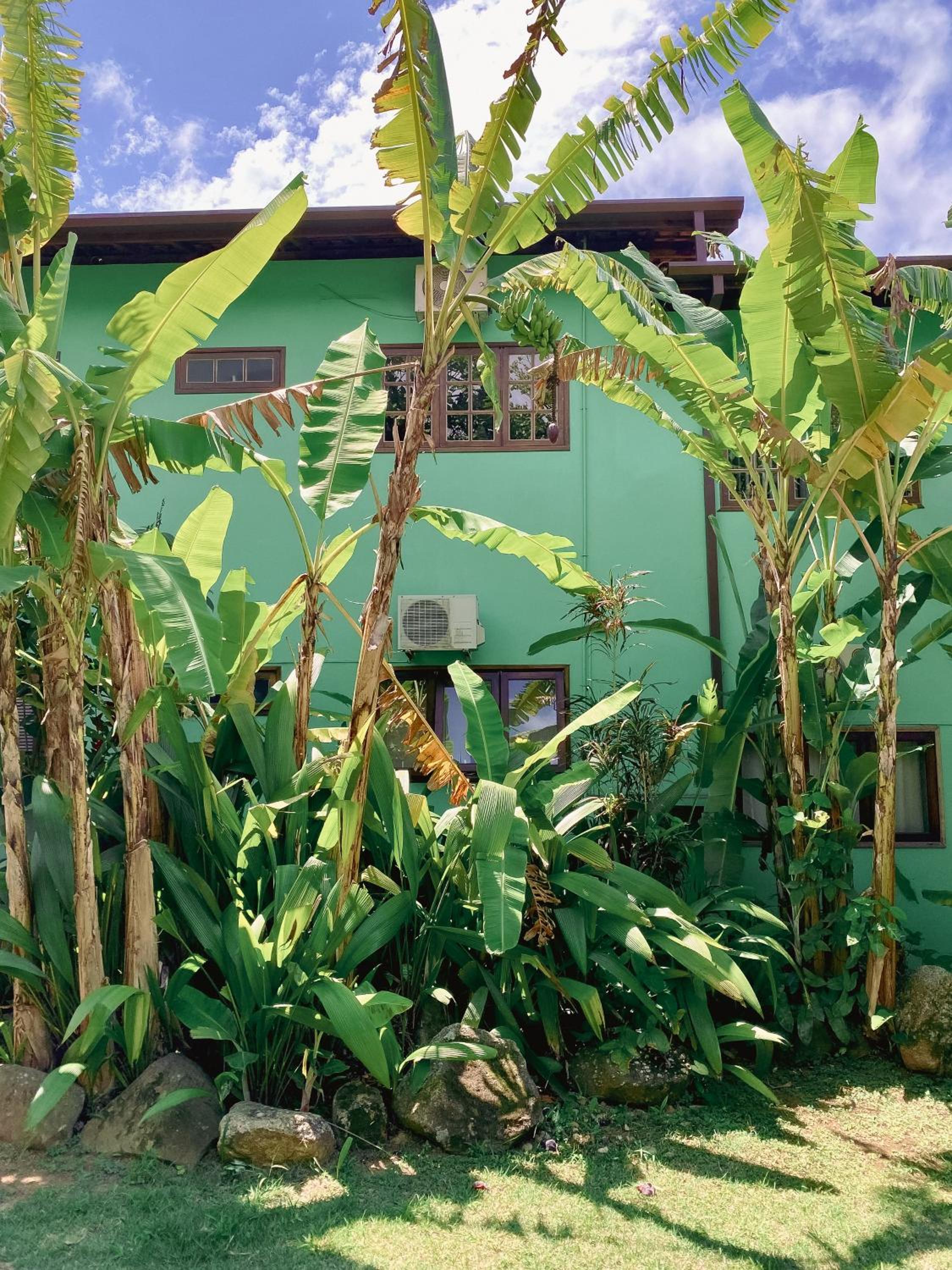 Pousada Banana Verde
