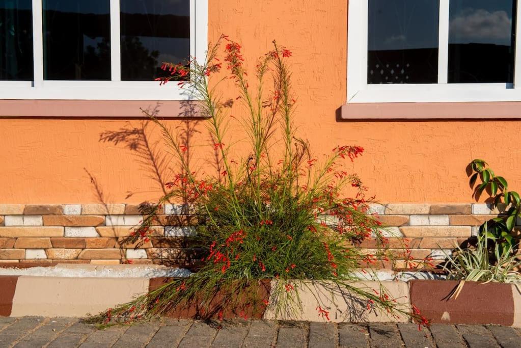 Photo 22