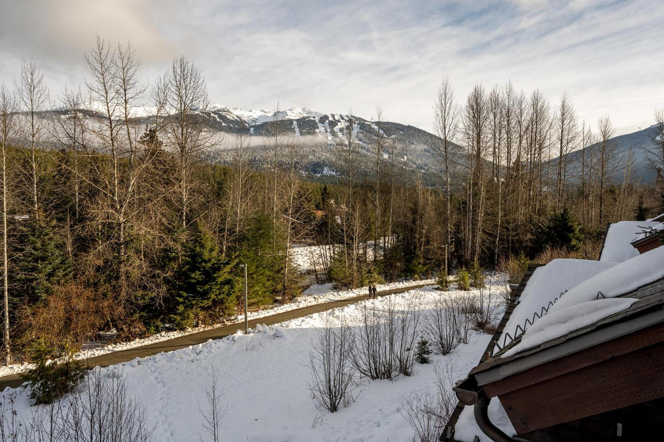 4 bed 3 bath Mountain view townhome offering a Whistler retreat close to everything you might need