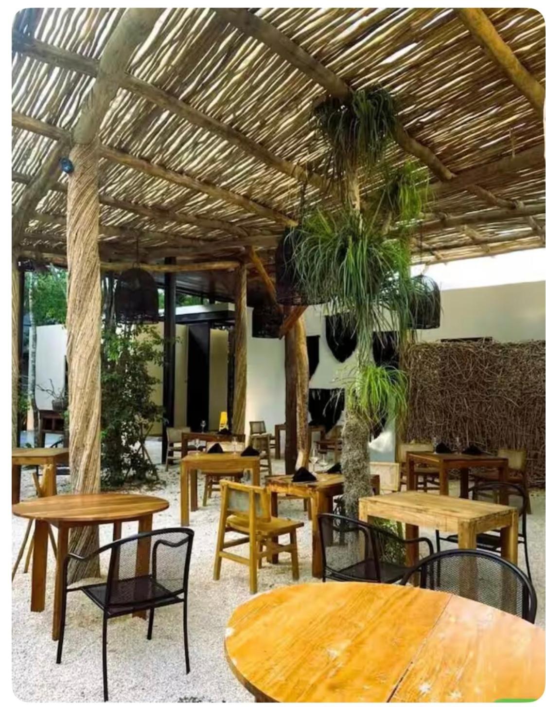 Mini suite con alberca y aire acondicionado en zona tranquila de Tulum view 4