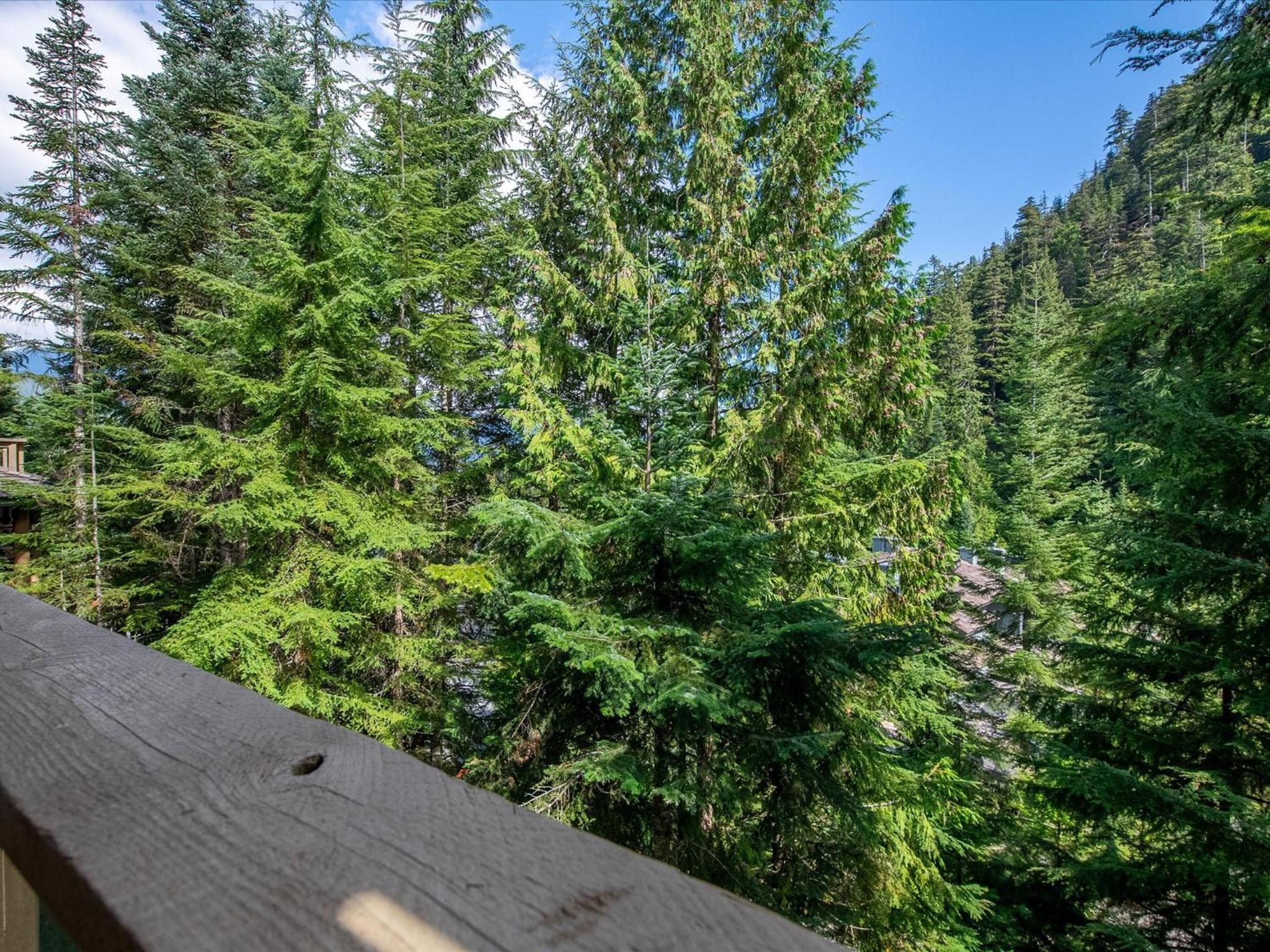 New Listing Cozy 3 bed 3 bath ski-in ski out access fireplace private hot tub and garage