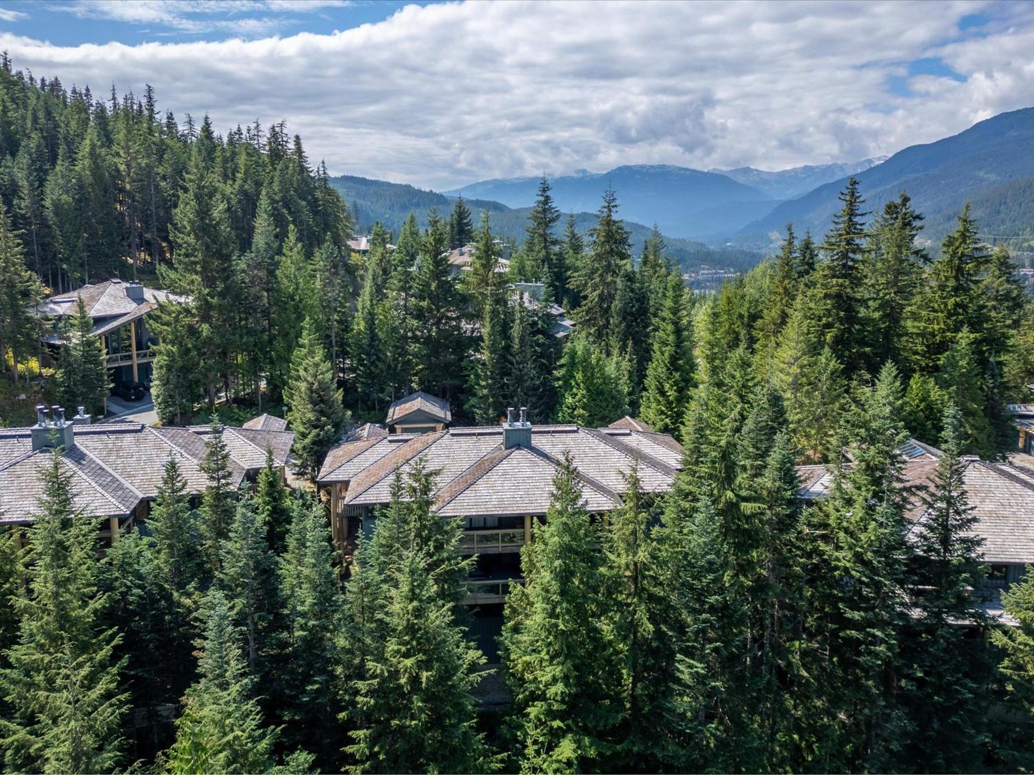 New Listing Cozy 3 bed 3 bath ski-in ski out access fireplace private hot tub and garage