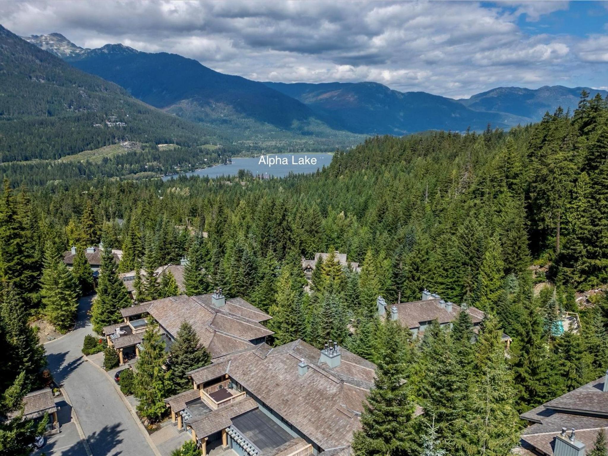 New Listing Cozy 3 bed 3 bath ski-in ski out access fireplace private hot tub and garage
