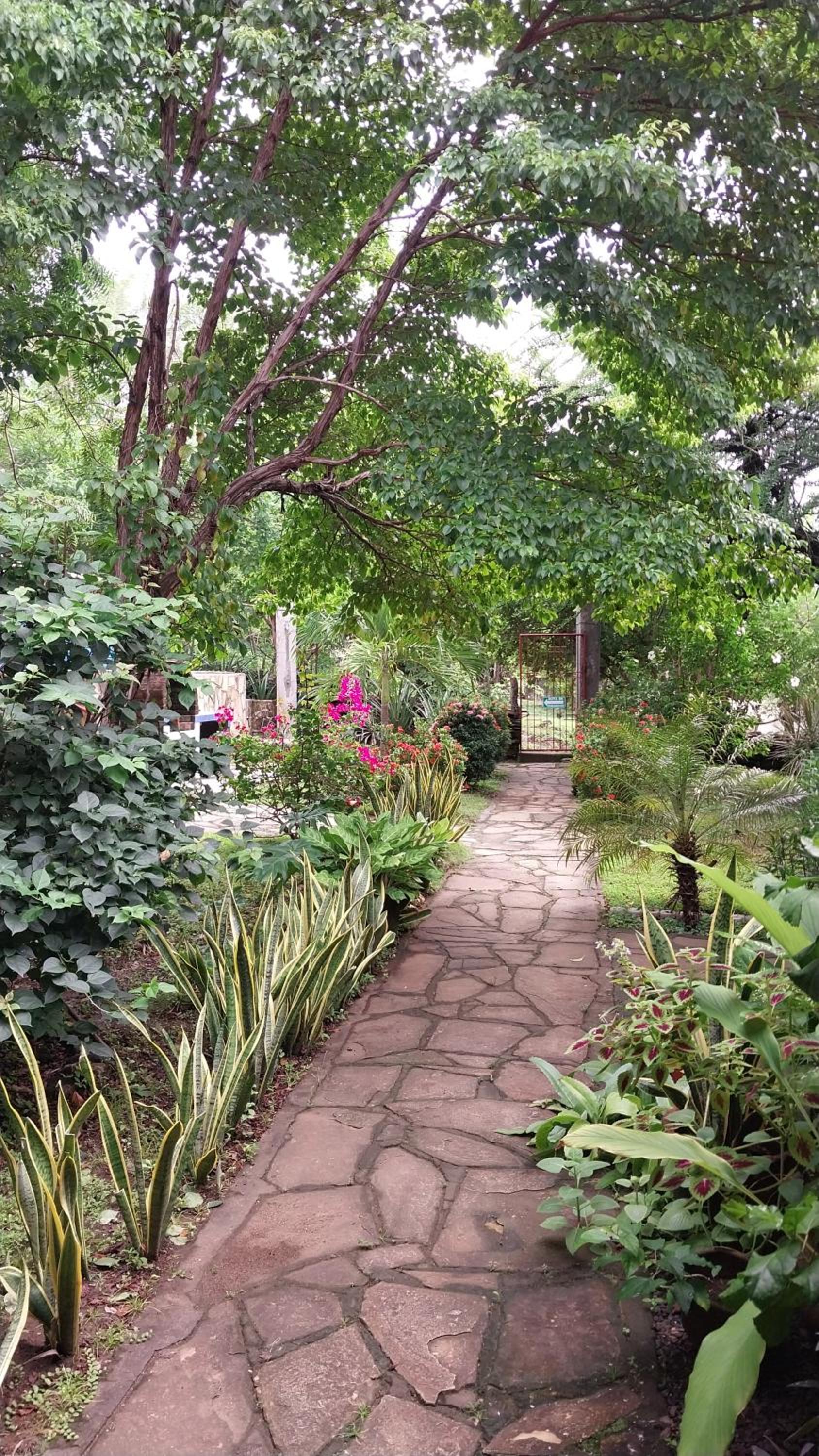 Photo 23