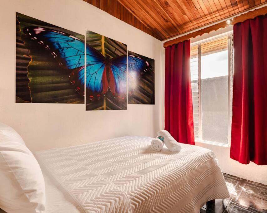 Gaby's Home In Downtown La Fortuna