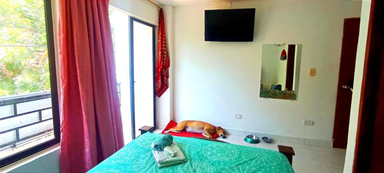 Hostal Don Miguel