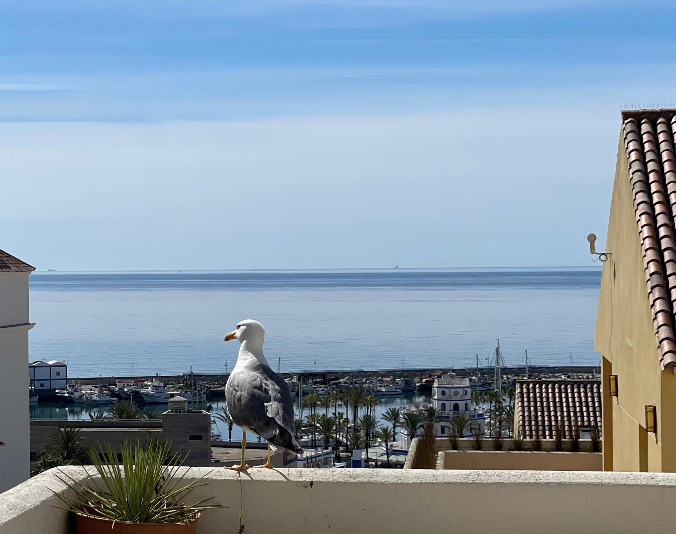 Intermobiliaria Rentals - Puerto Alto B5 13 view 5