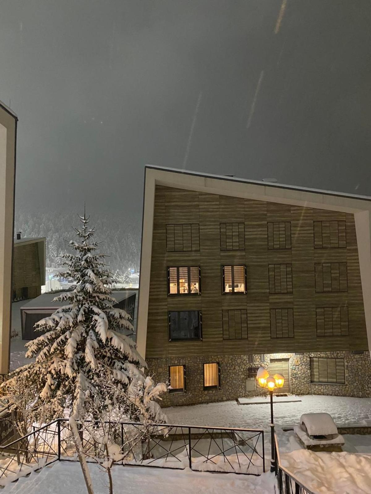 ApartMaN 11,free garage,ski to door