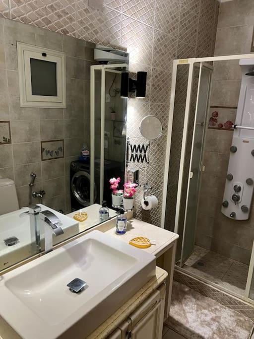 Spacious 3BR Apt in Zamalek - Cosmic 15