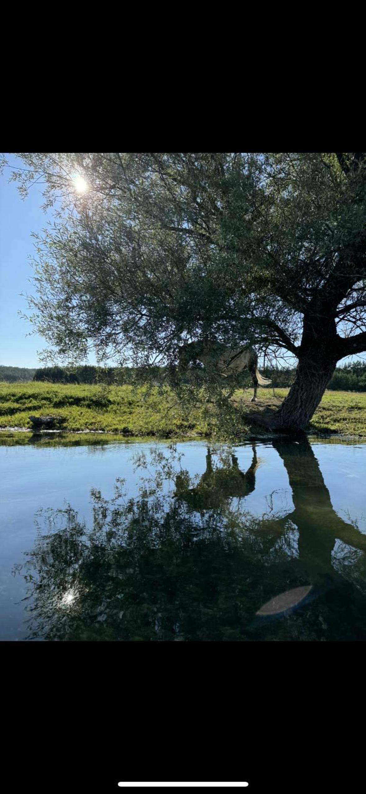 Country House-Lištani