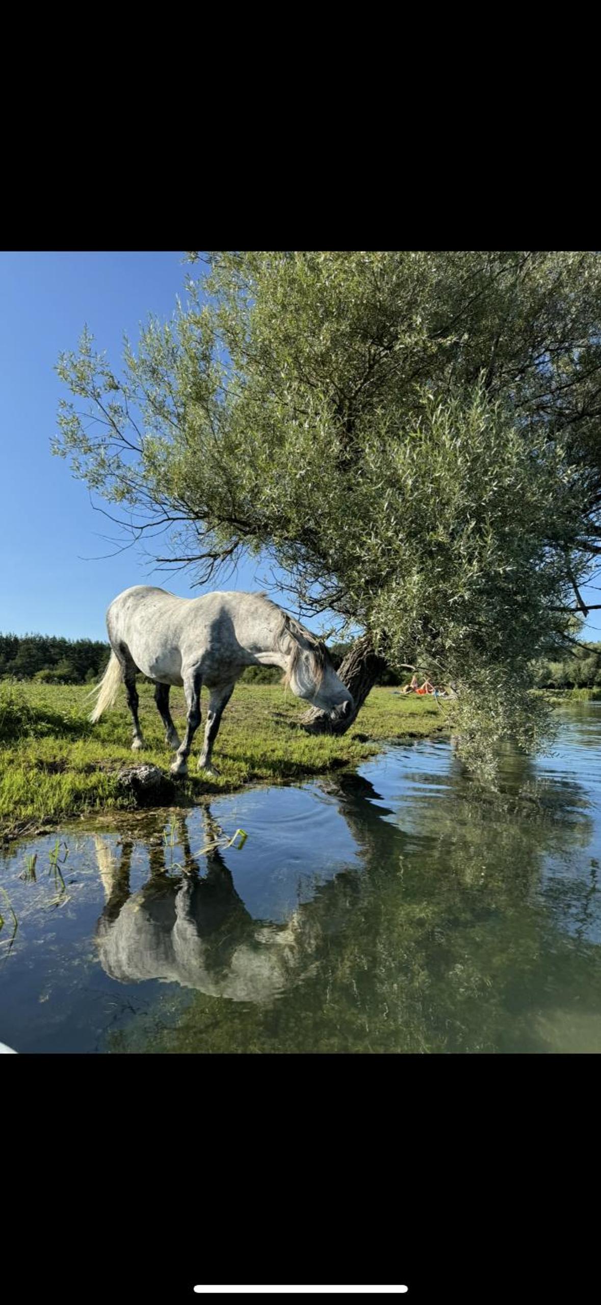 Country House-Lištani