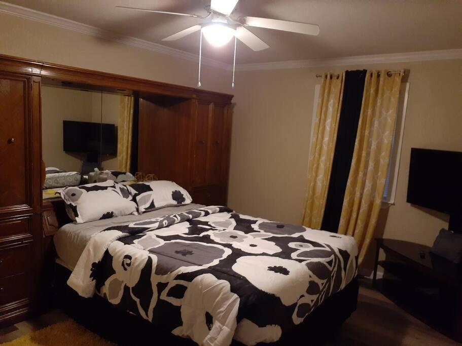 3Bed 2Bath Northeast Hidden Gem! view 2