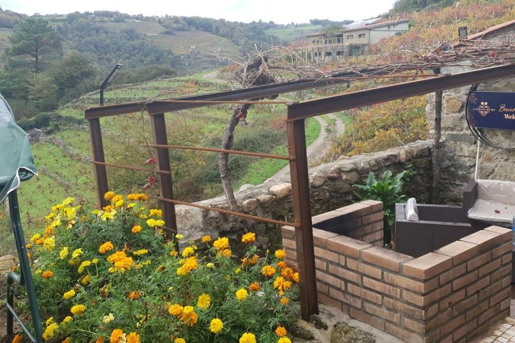 cabaña do rei