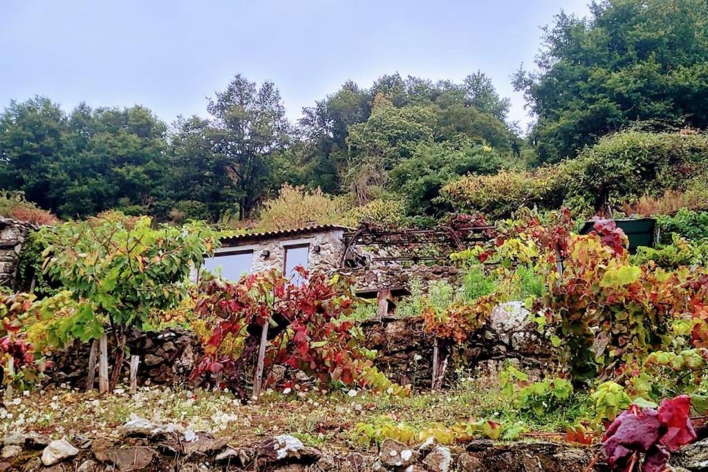 cabaña do rei