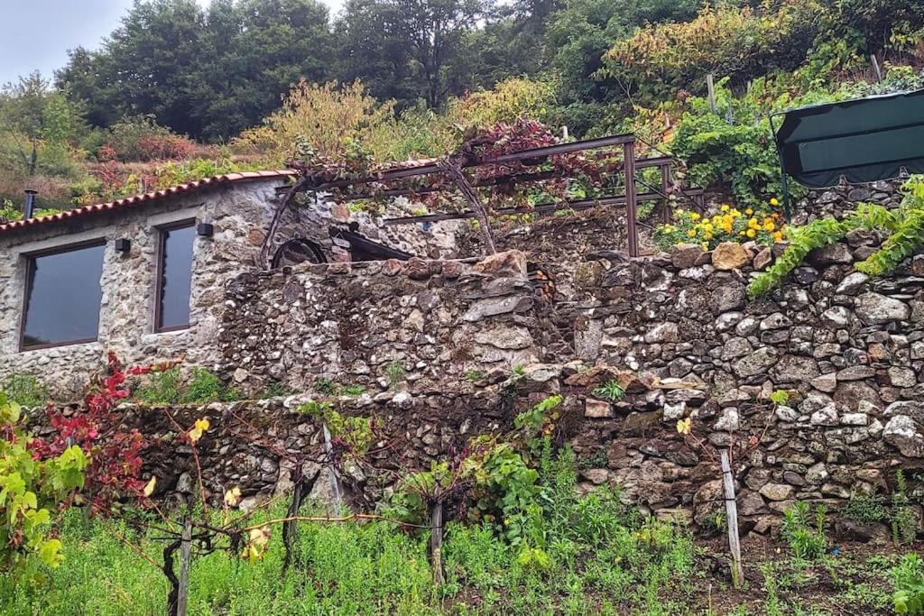 cabaña do rei