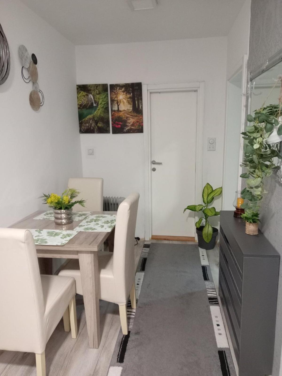 Apartmani Nana view 3