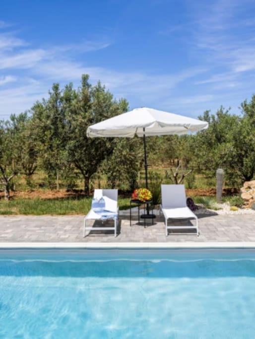 Villa Degli Ulivi photo 3