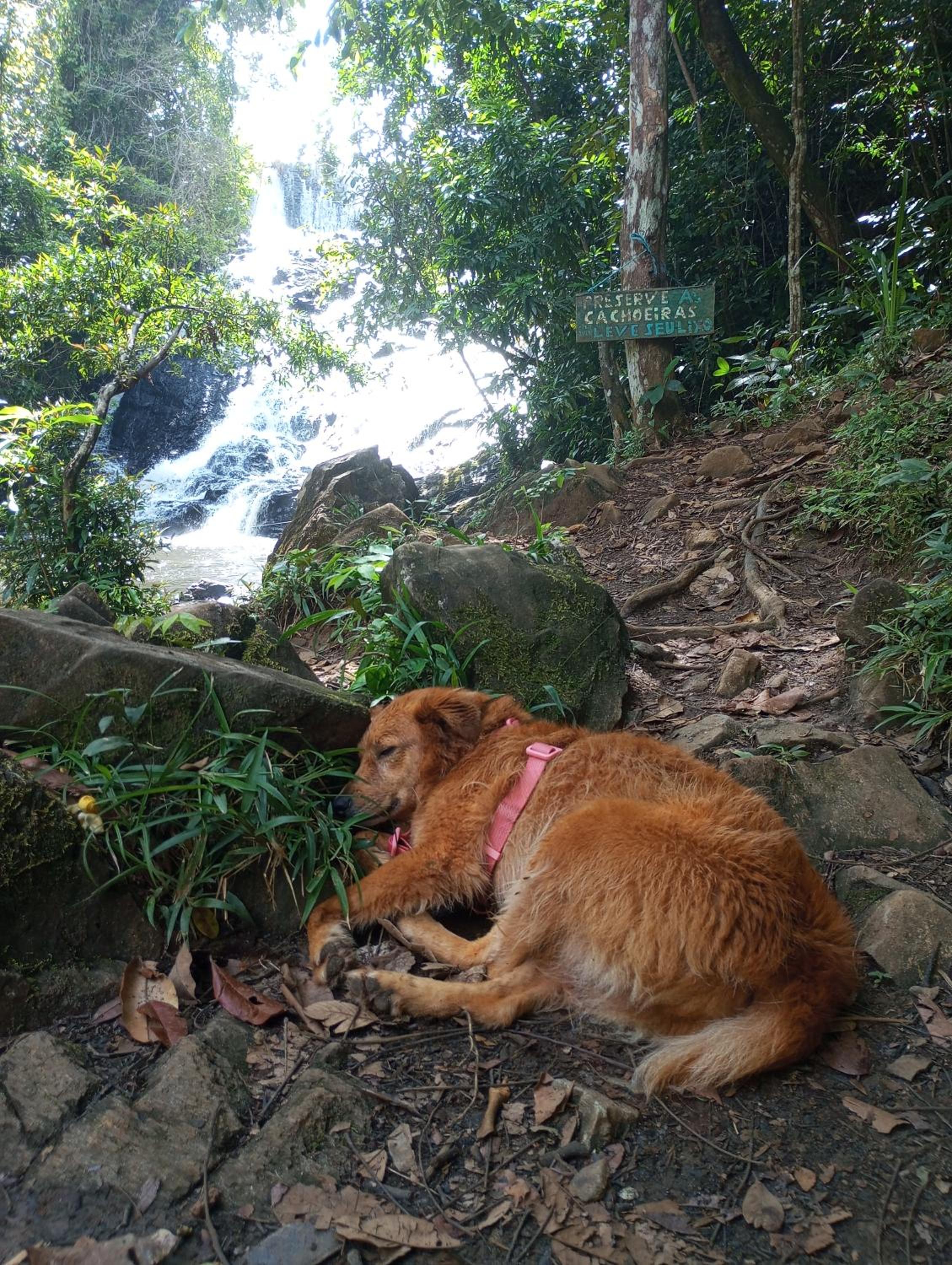 Ecosítio Yamata Naue
