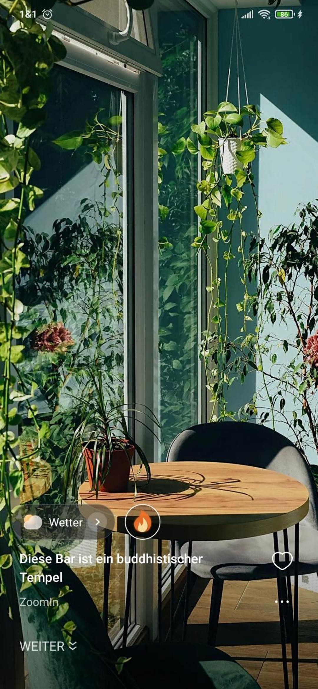 Relaxed Apartment
