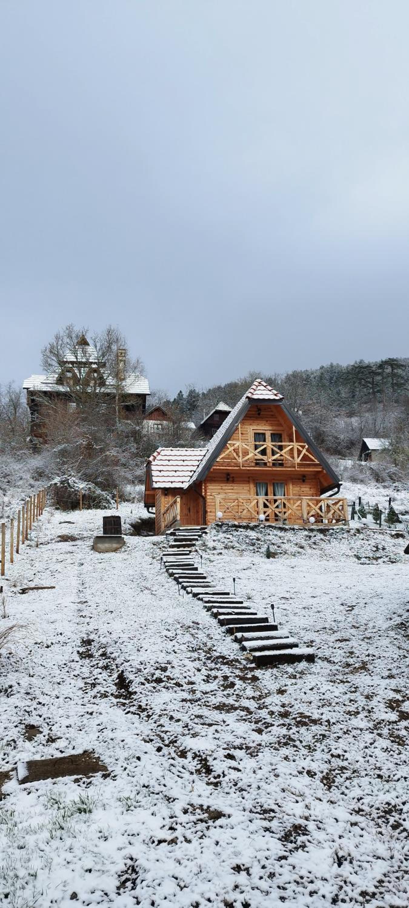 Photo 47