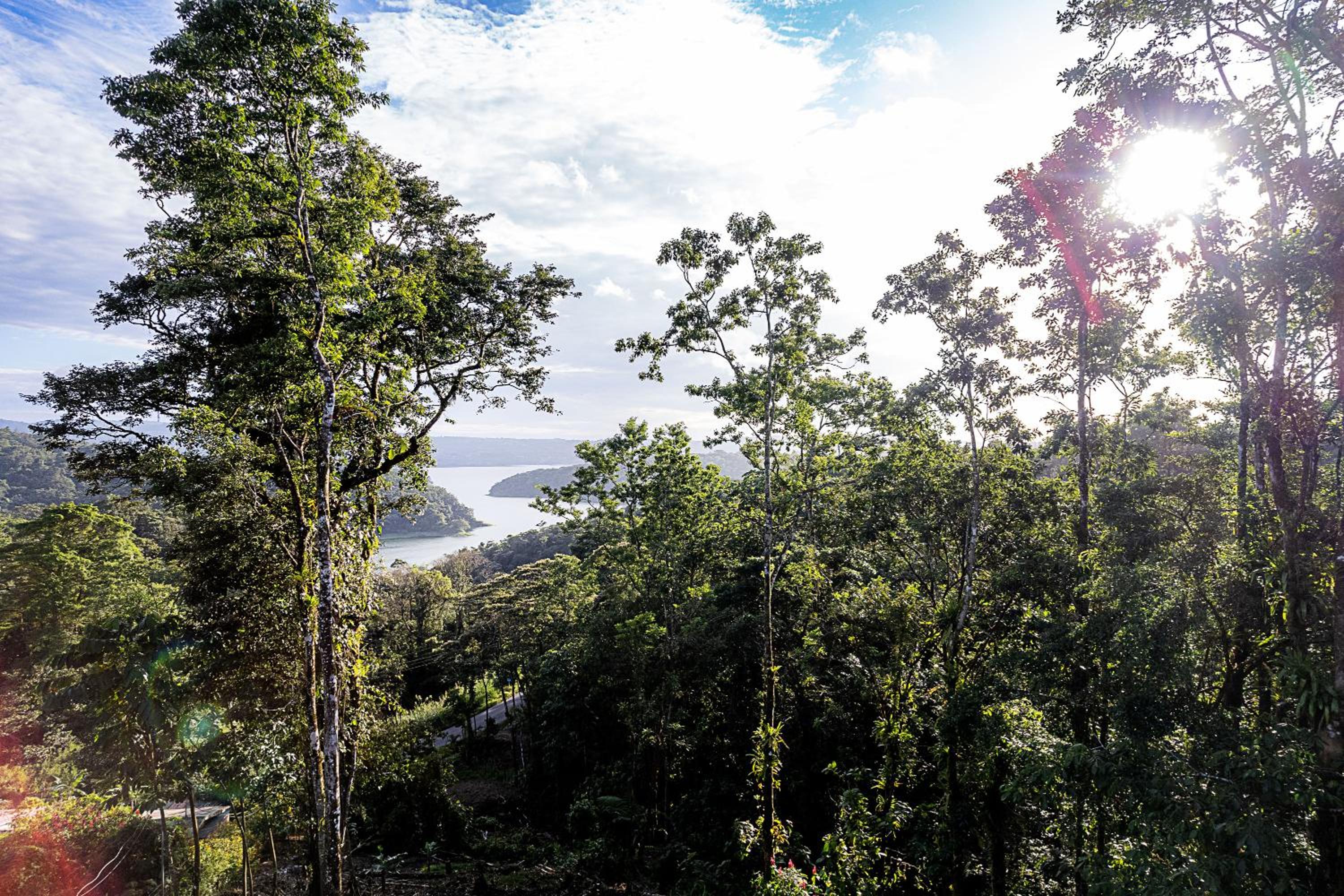 Arenal Summit
