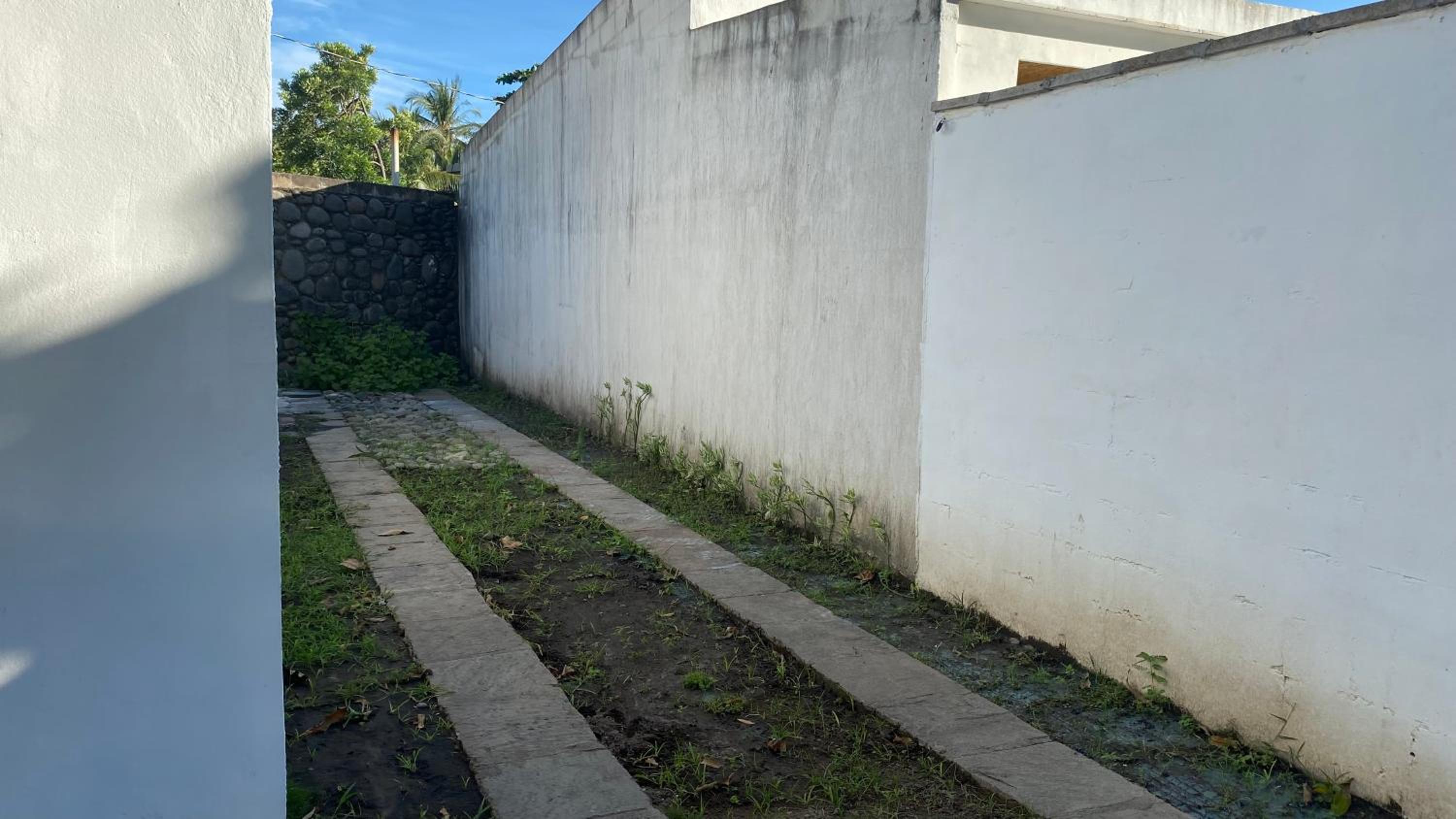 El Rinconcito de Coco view 5