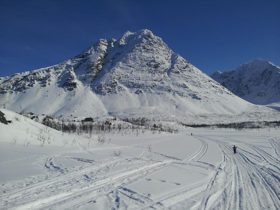 Idyllic cabin with sauna - Lyngen alps view 5