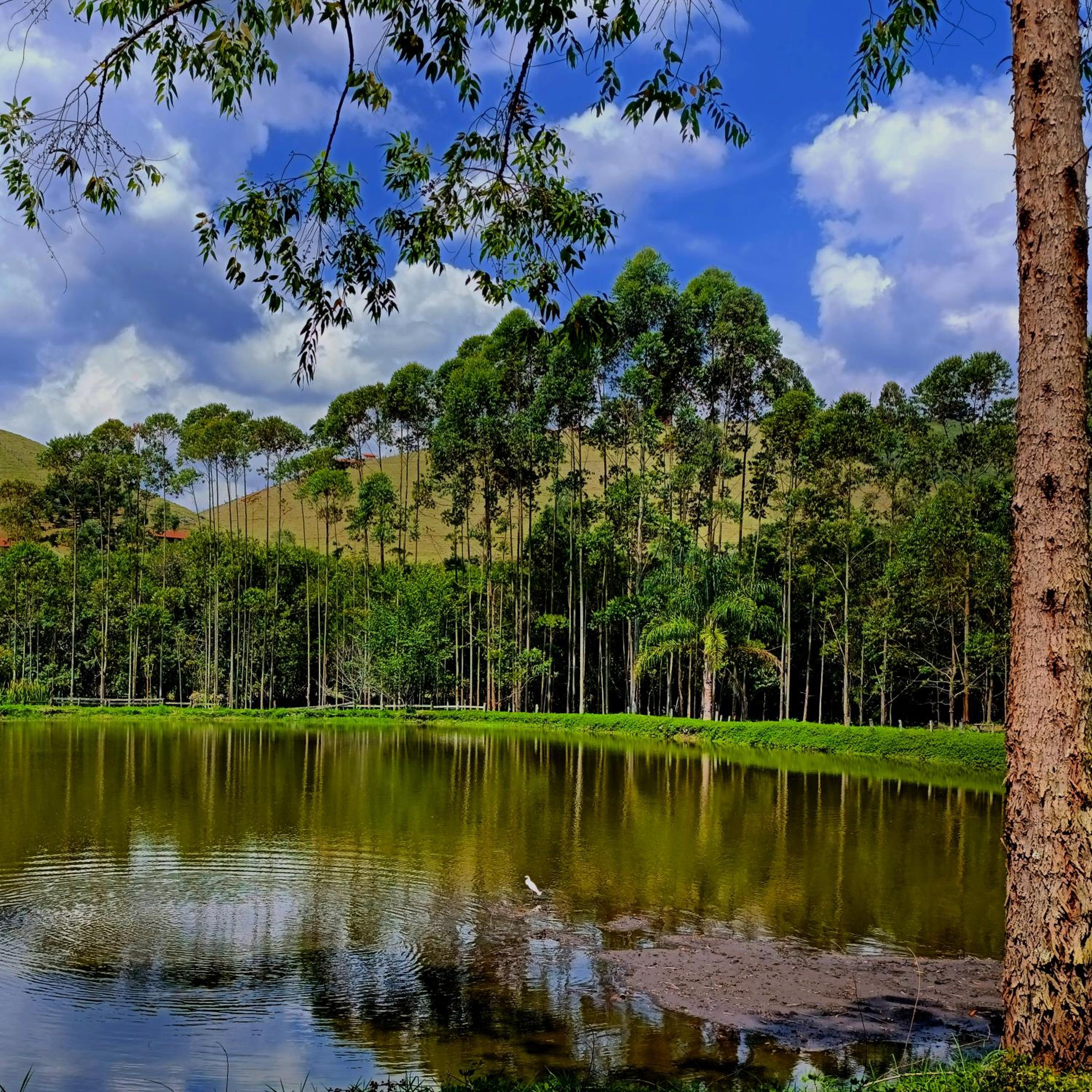 Pousada Shambhala