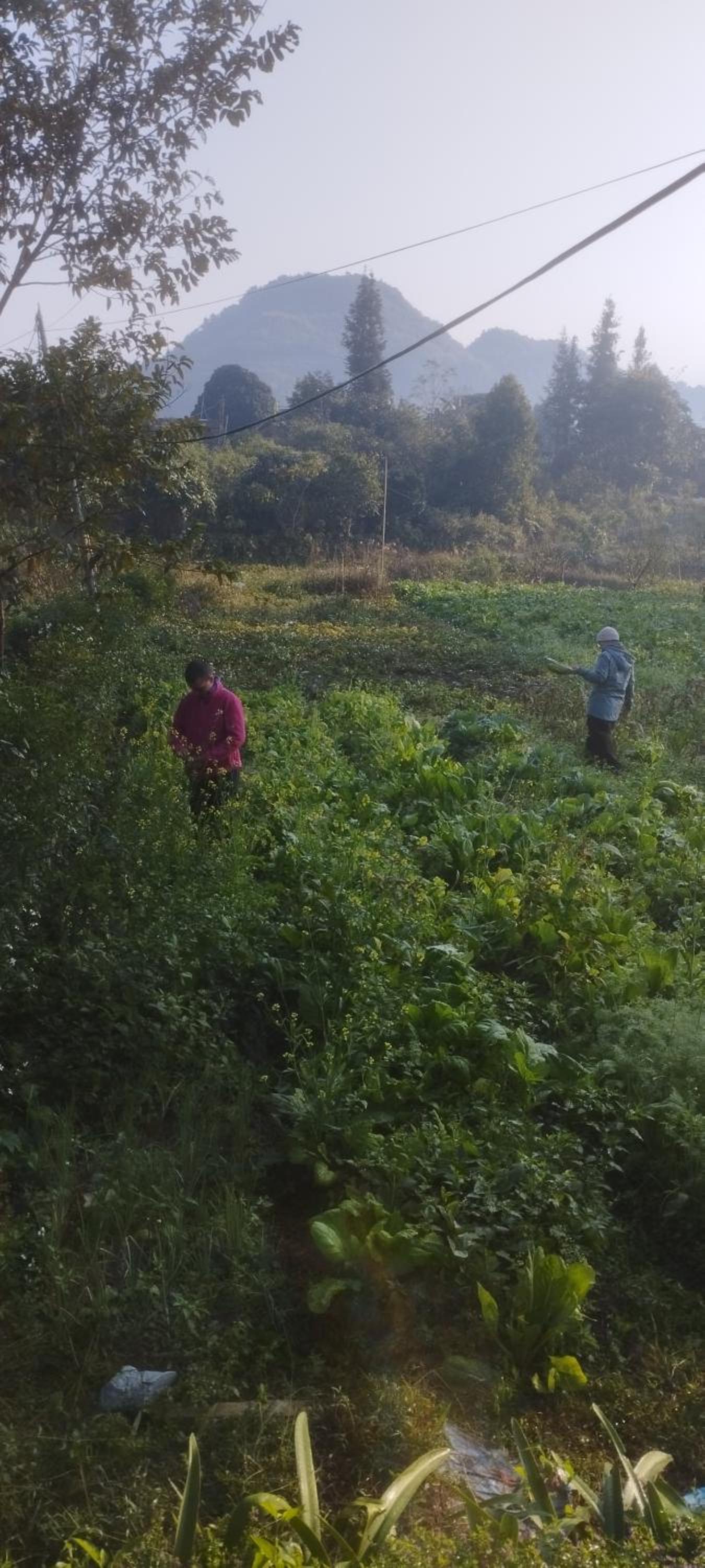 Huy mán homestay view 5