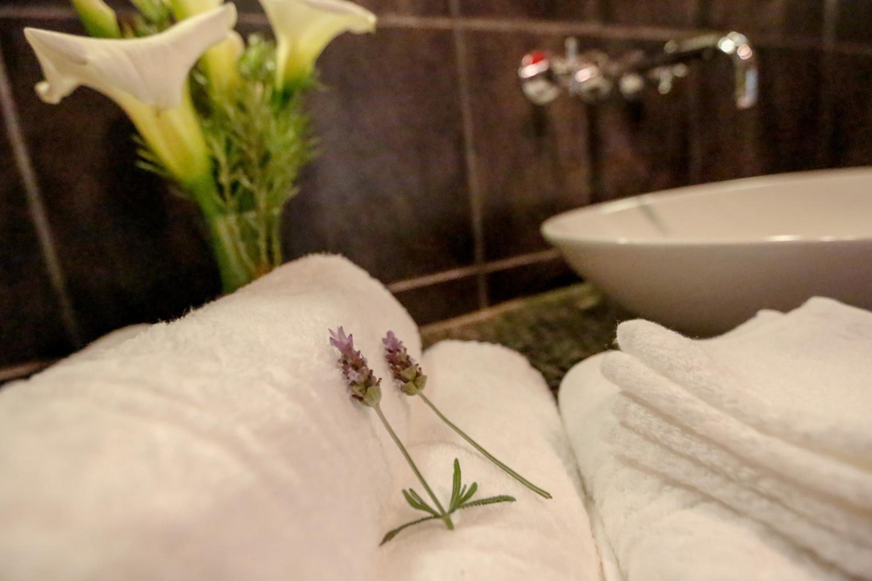 Secret Garden Guesthouse