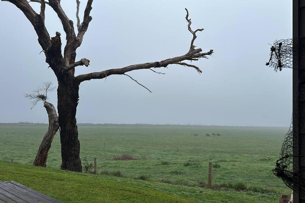 Largo on the Bellarine