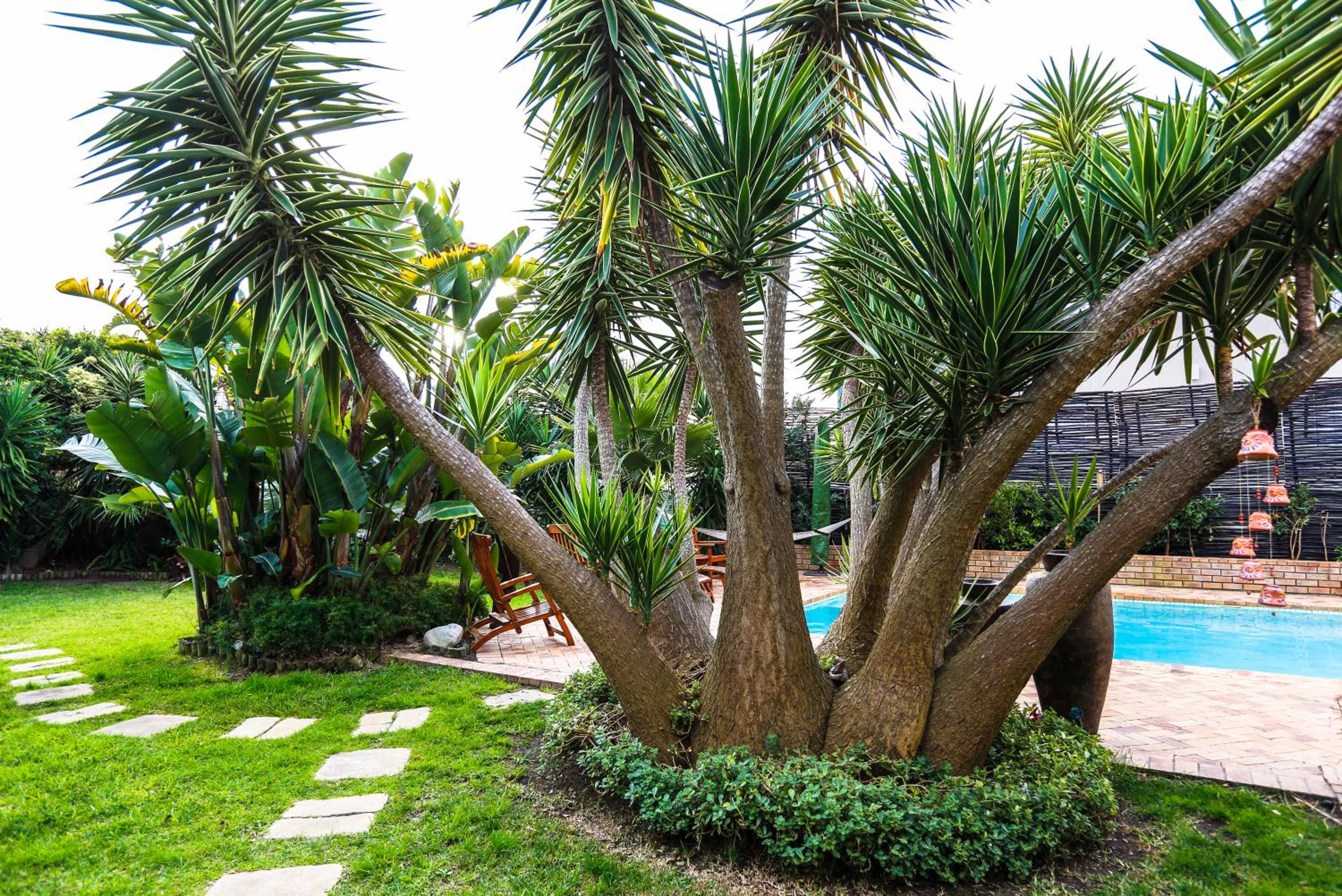 Secret Garden Guesthouse