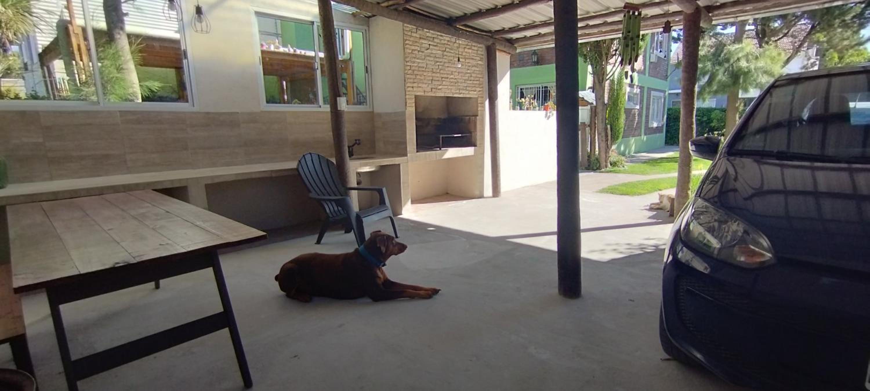 Casa verde Alfar