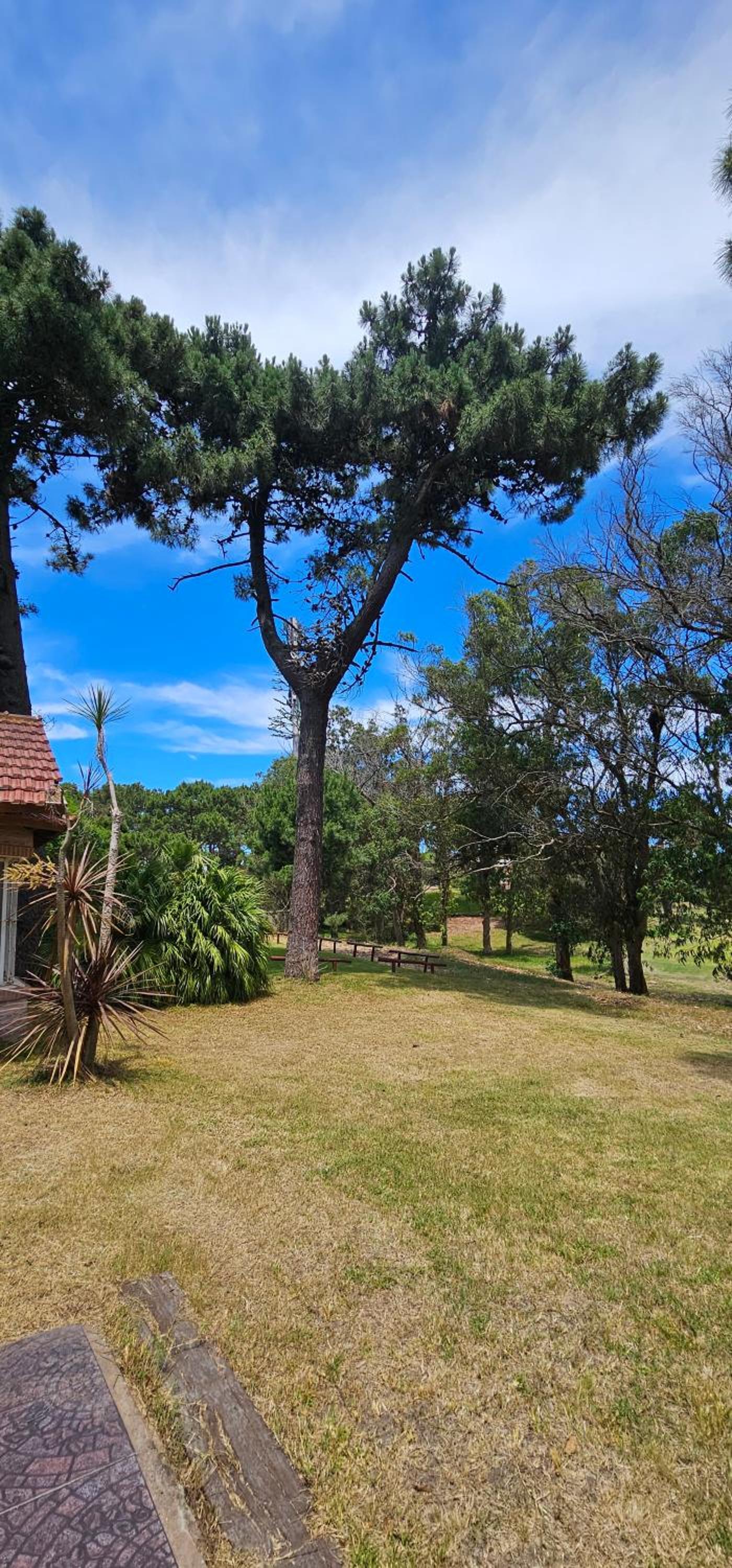 Casa Golf Carmen