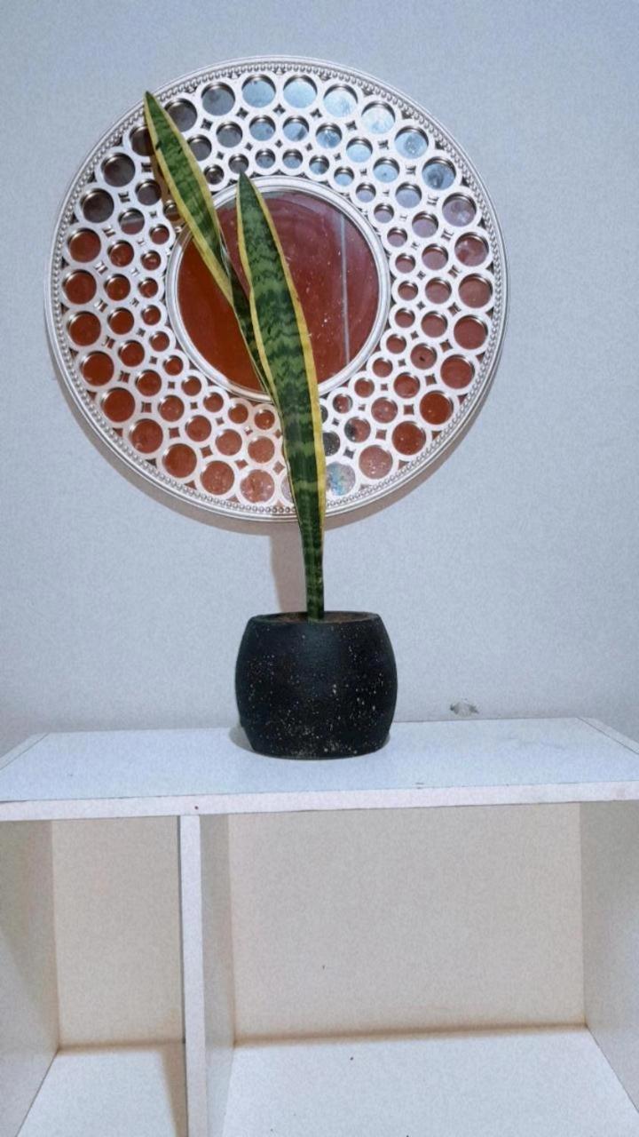 Casa Chaco