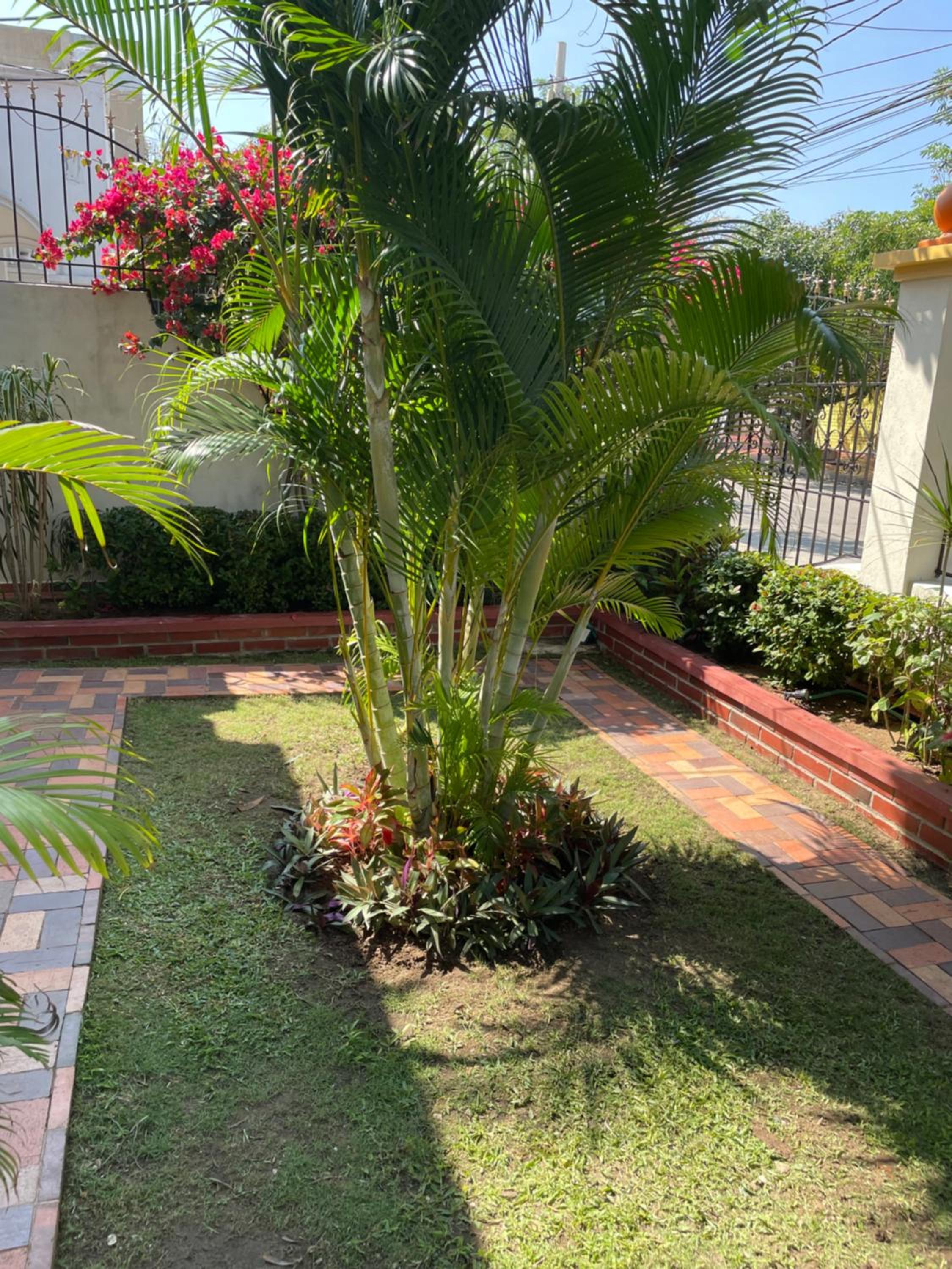 Casa Blanca María Barranquilla - Authentic republican house