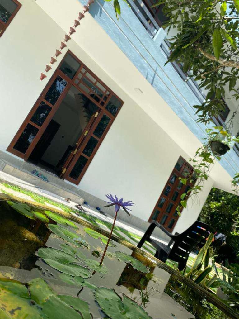 Villa island