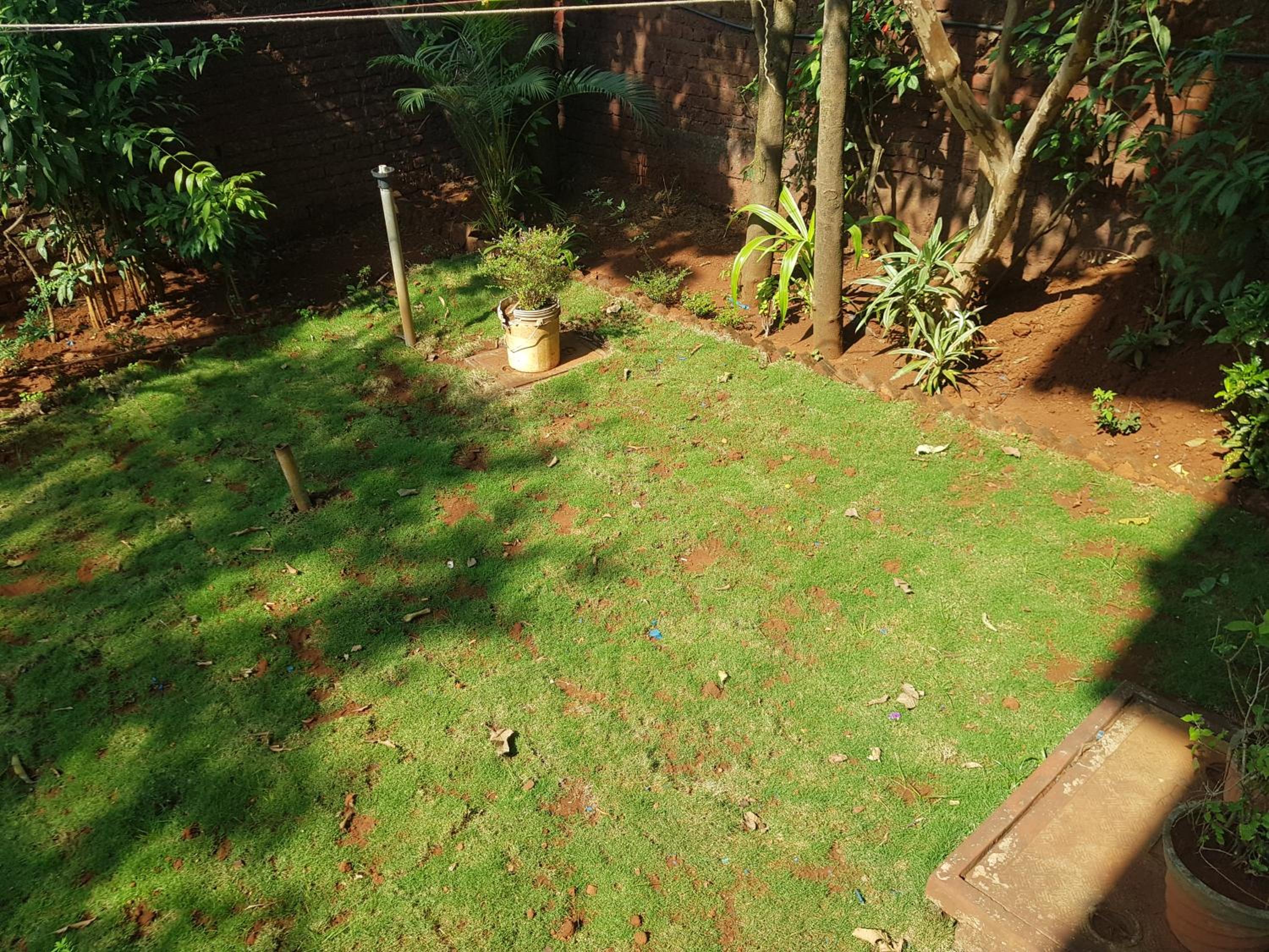 Trisha Residency