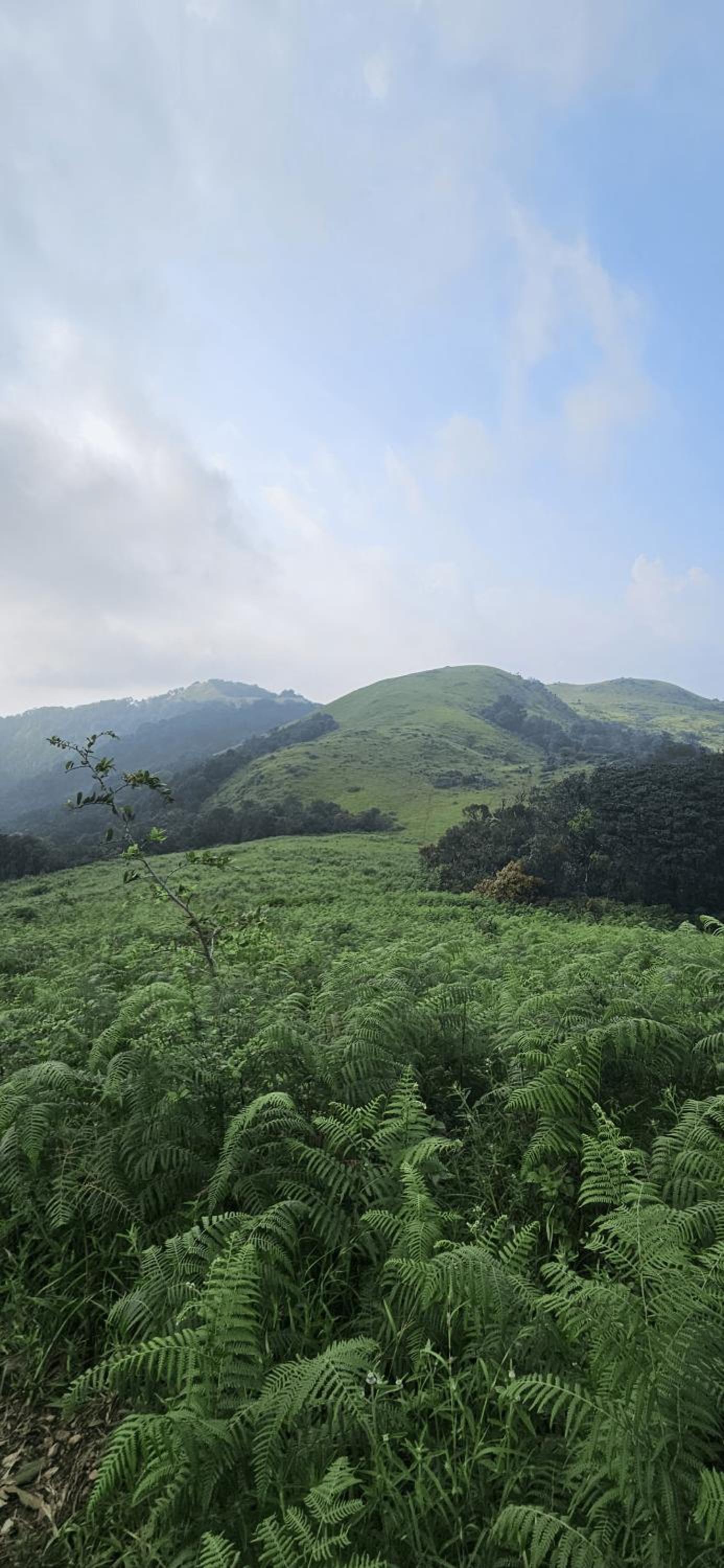 Agumbe Malgudi Homestay