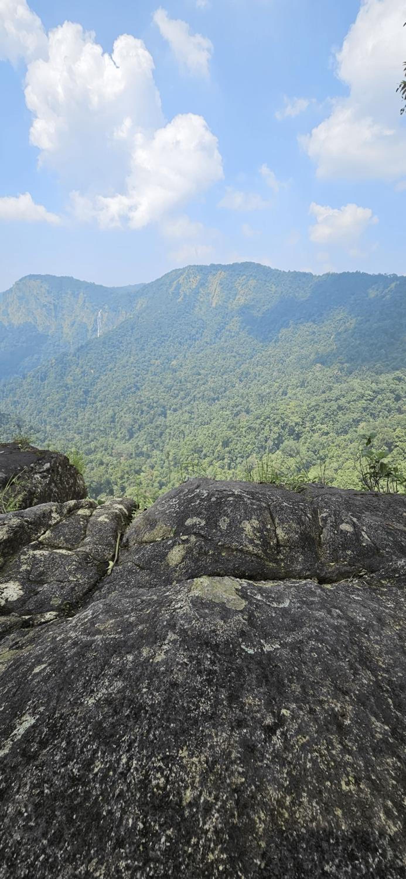 Agumbe Malgudi Homestay