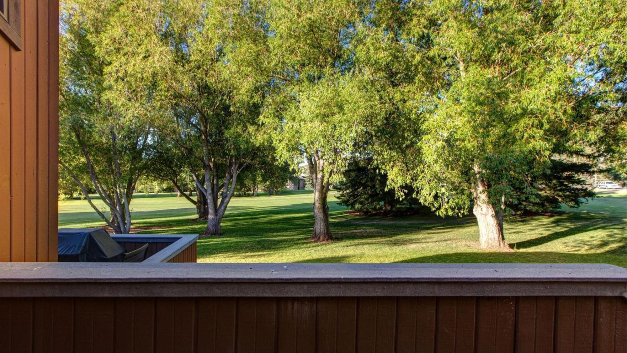 3 Kings Mountain Vista by SkyRun Park City view 2