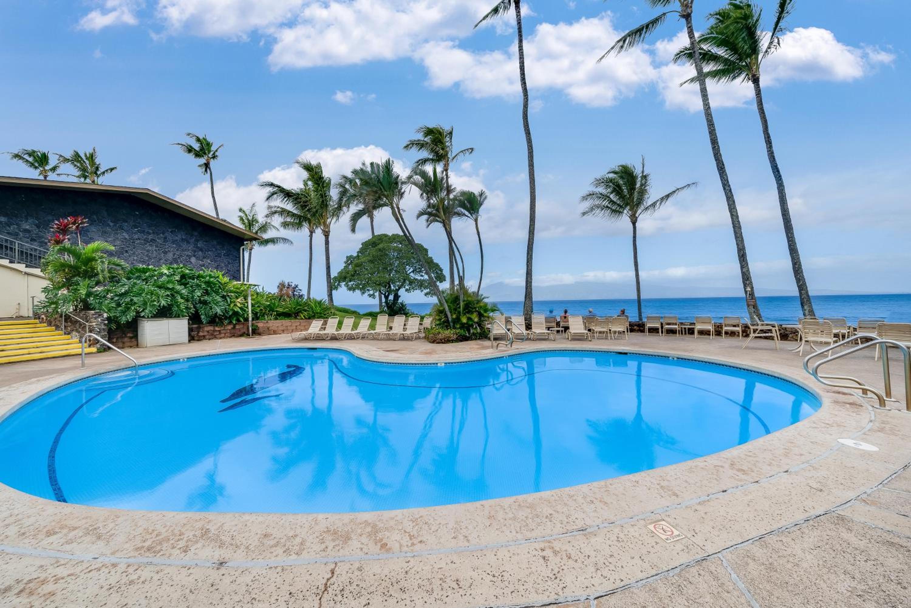 Napili Shores D127 · NS D127 Studio w Pool Near Beach view 5
