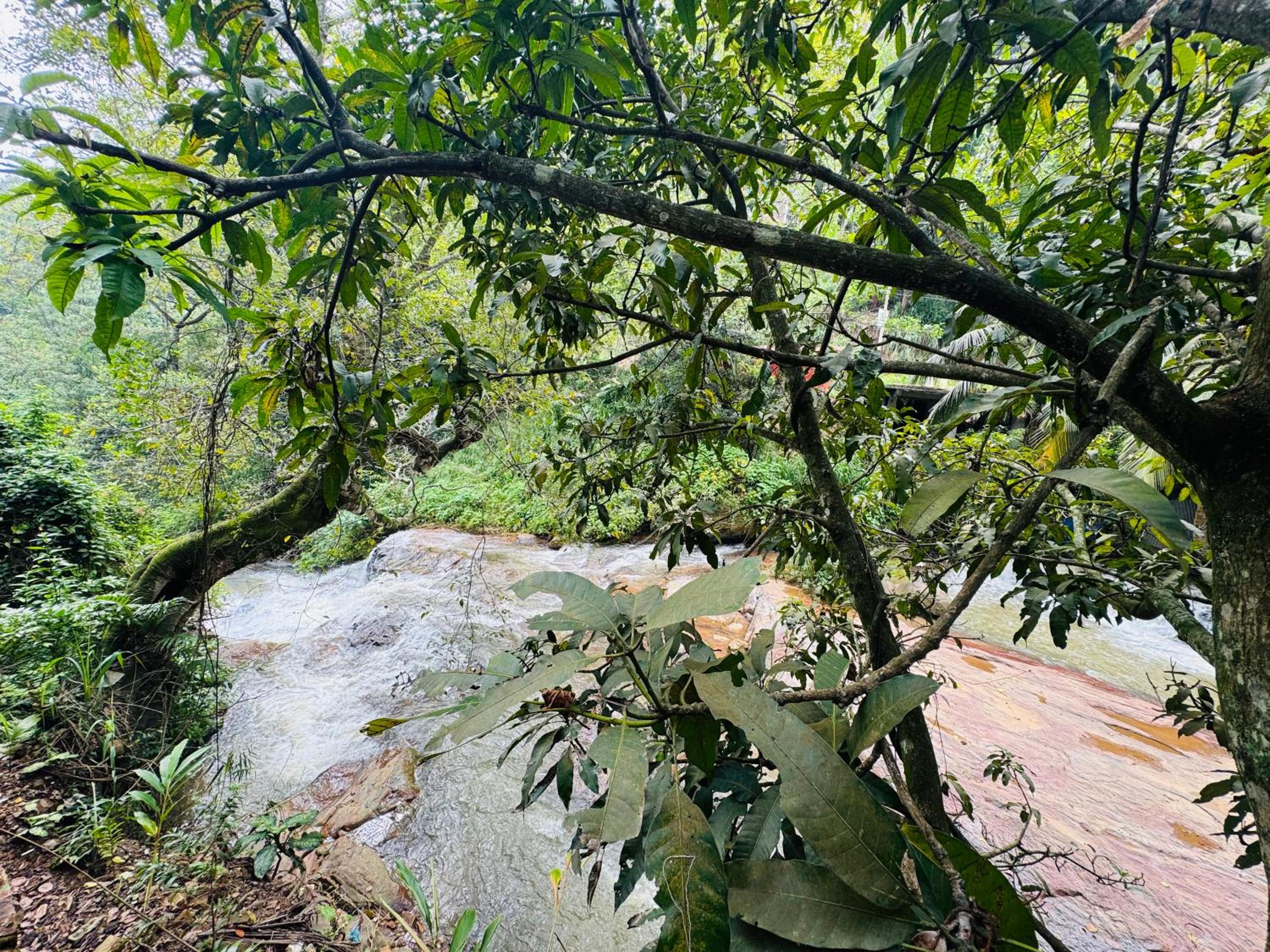 River Splendour Home Stay view 2