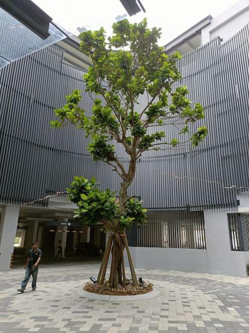 Sky Trees Smart TV Balcony & Facilities B08B