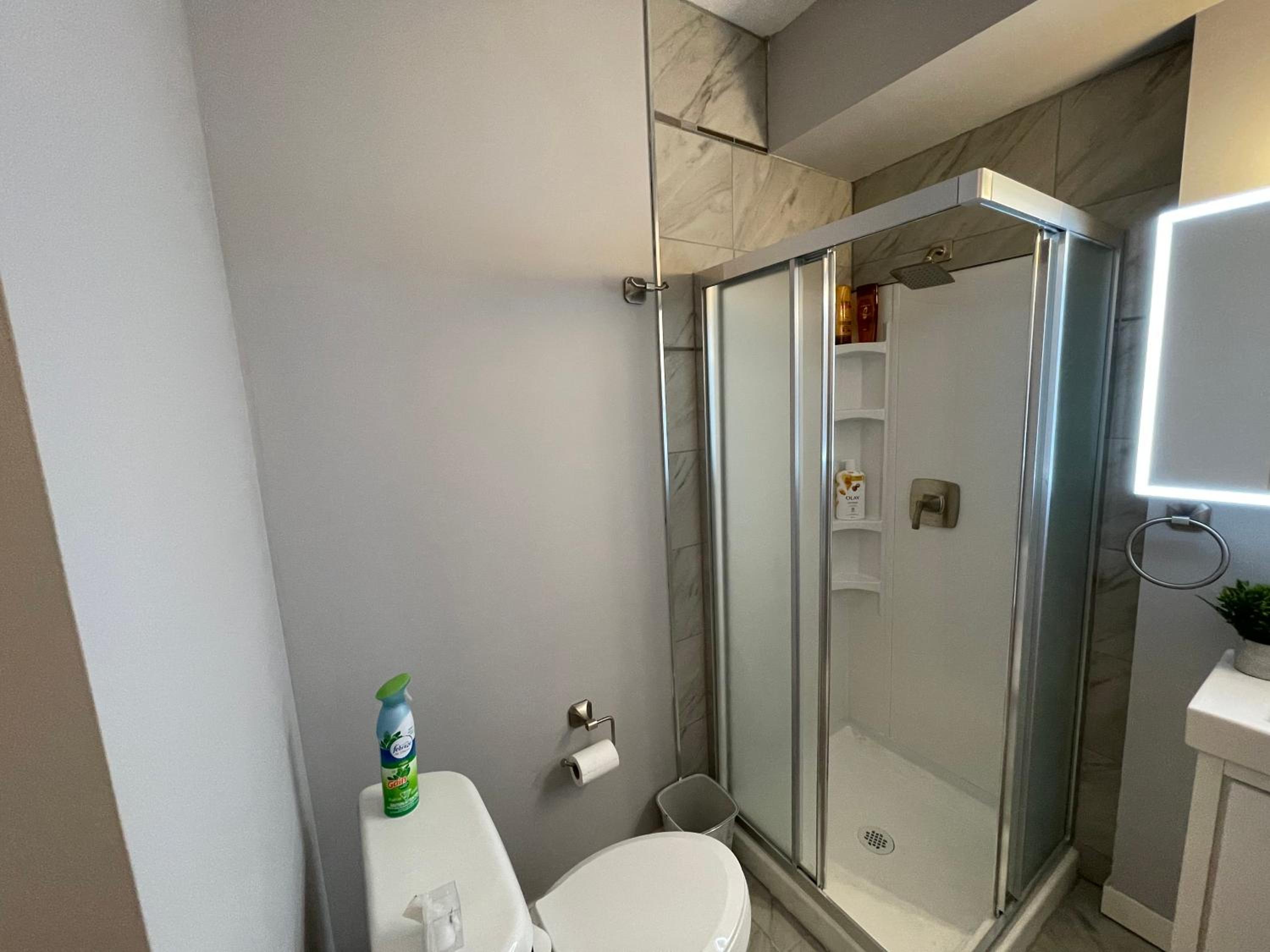 Comfortable and Beautiful Brand-New Suite BSMT-Two Bedroom, Two Washrooms