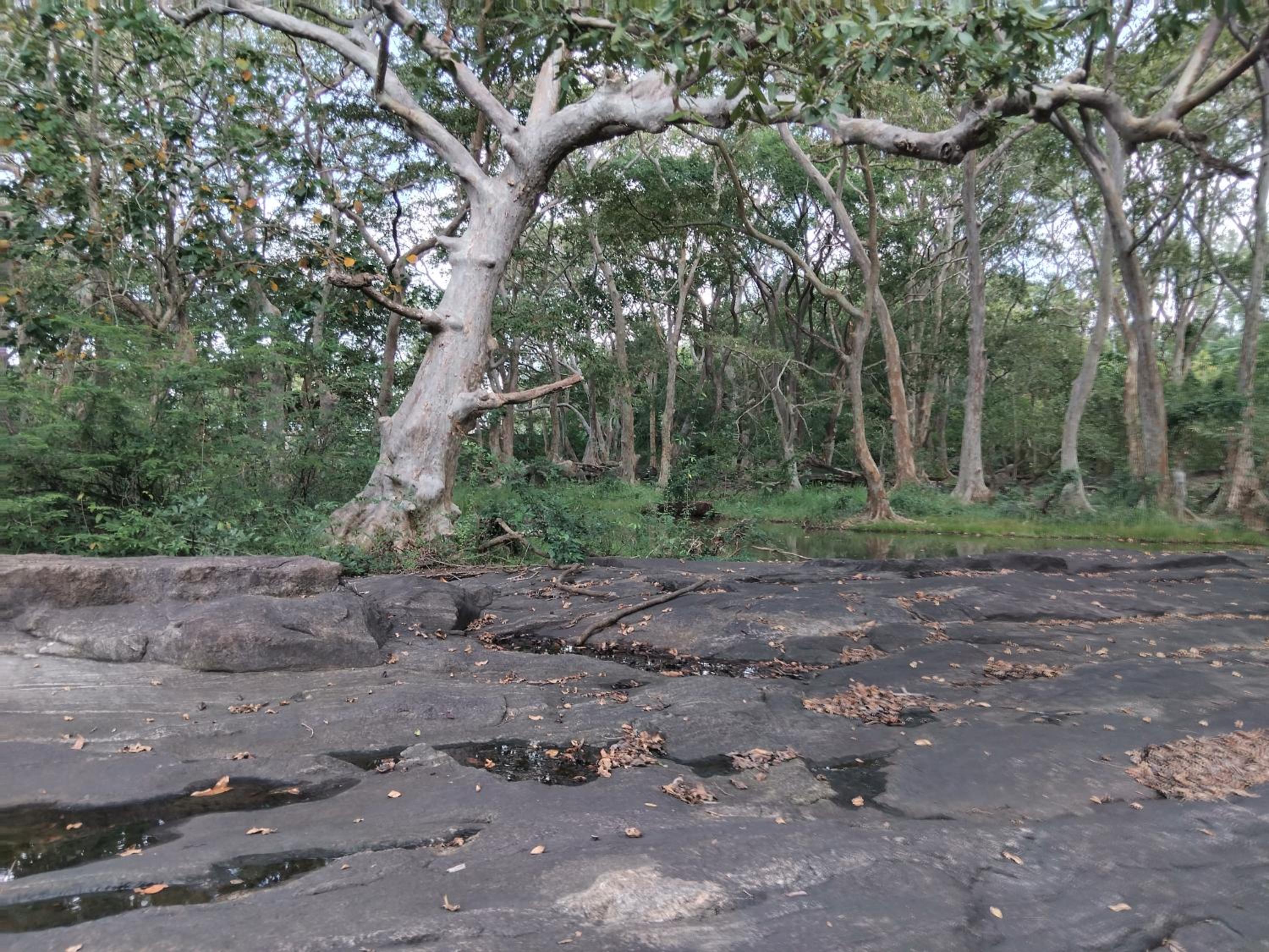 Kalawewa Villa view 3